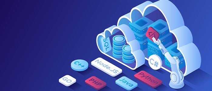 Web Programming II(Back-end Development)